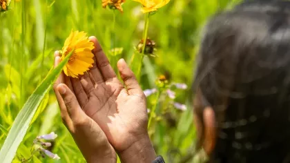Young girl holds yellow flower in her hands