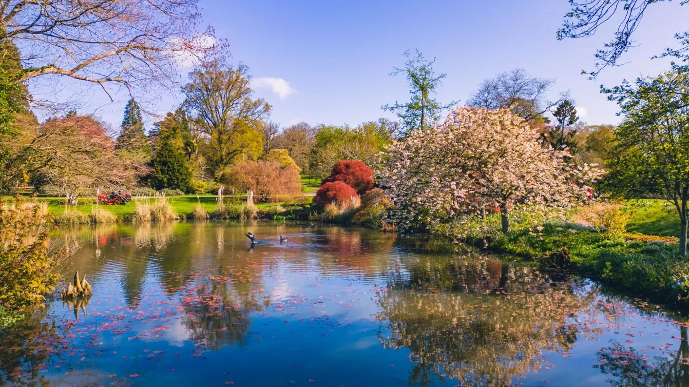 Mansion Pond at Wakehurst, Visual Air © RBG Kew