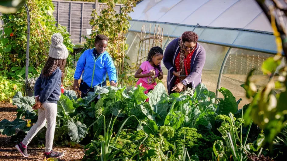 Wakehurst's Children's Heritage Garden, Jim Holden © RBG Kew