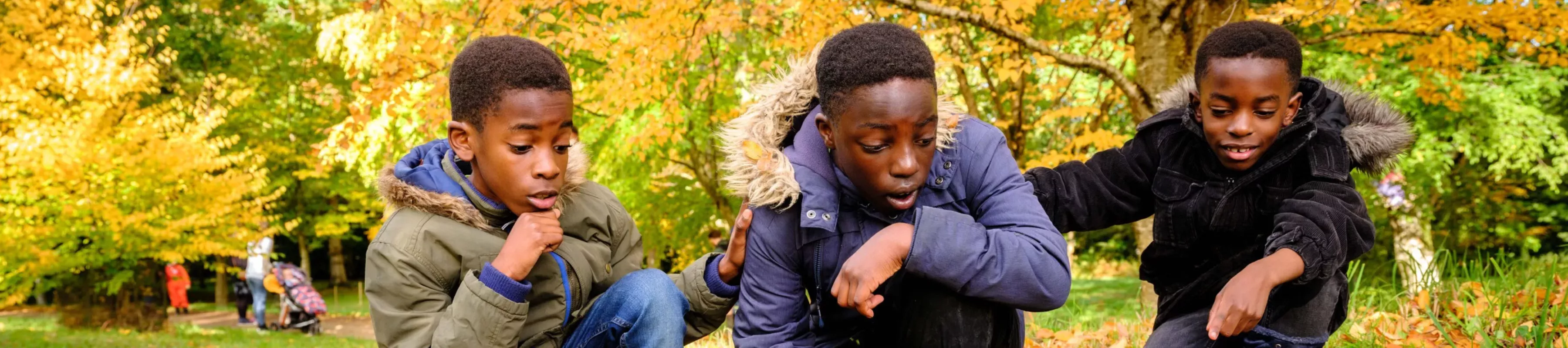 Family enjoying Wakehurst in Autumn Three brothers examine leaves on an autumnal woodland floor