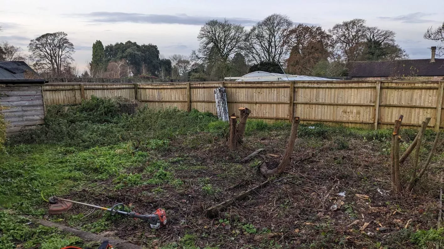 The area before © RBG Kew A muddy garden, with tufted grass and a wooden fence in the background