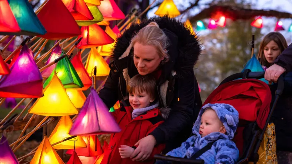 Glow Wild lanterns