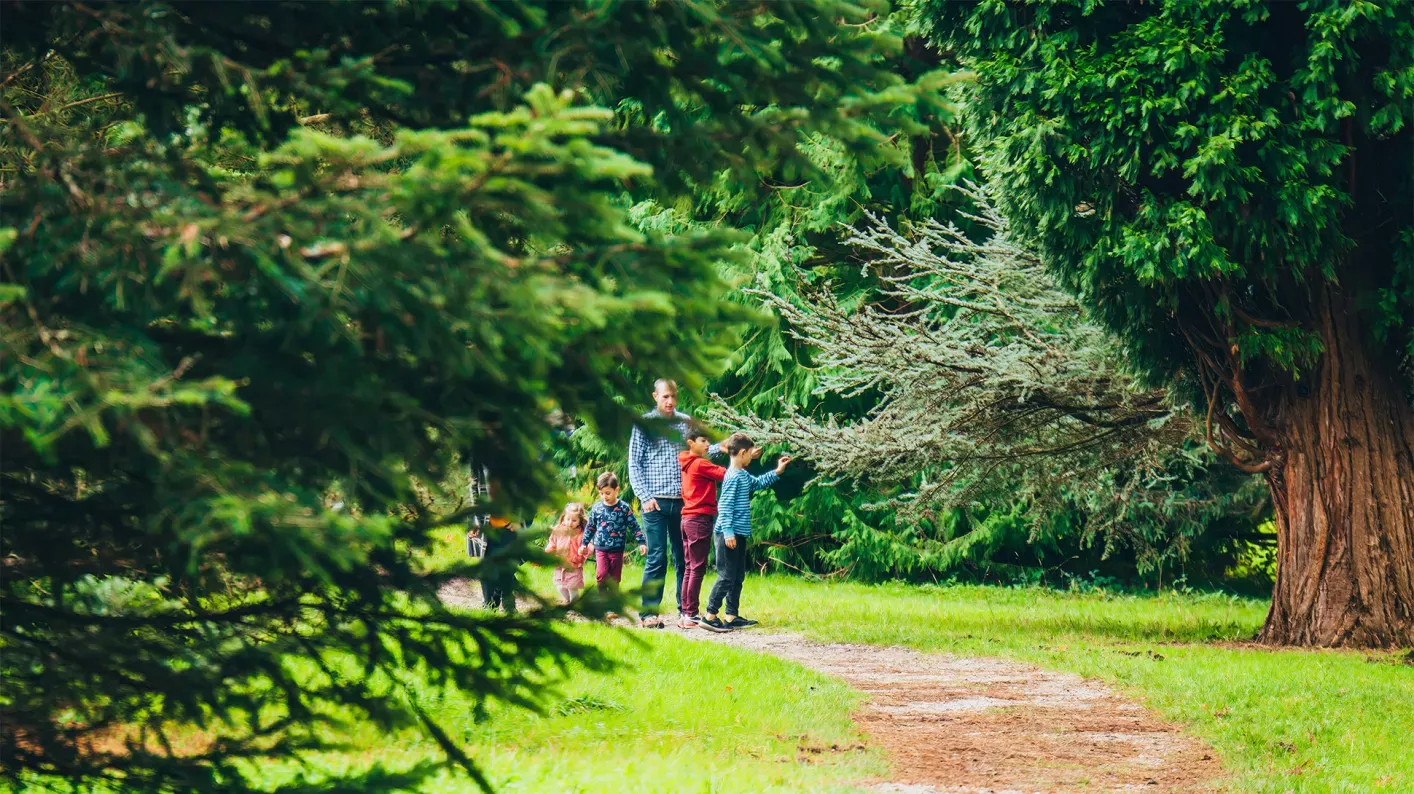 Wakehurst Pinetum, Visual Air © RBG Kew