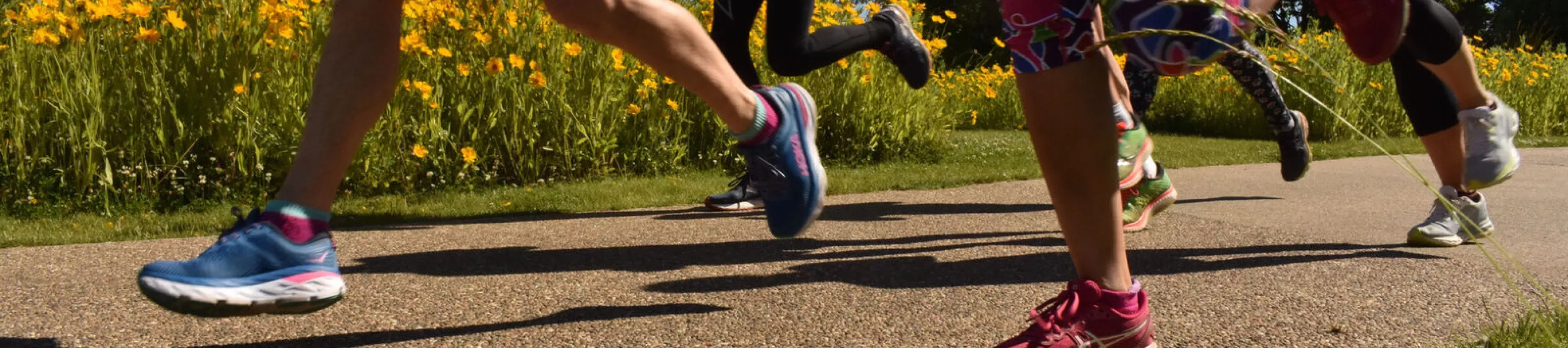 Wakehurst running event © RBG Kew Runners on a path past a field of yellow flowers