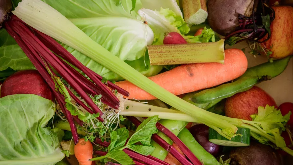 Vegetables, Jim Holden © RBG Kew