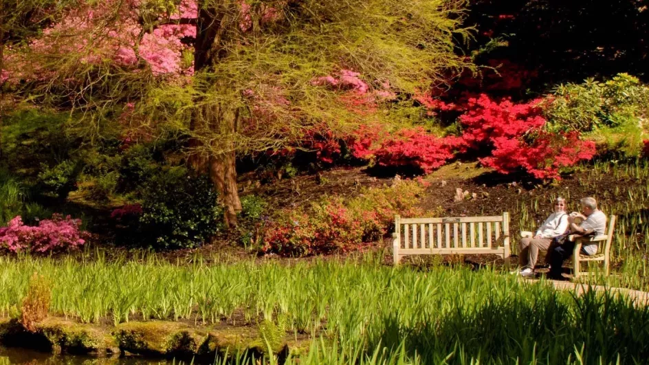 Wakehurst rhododendrons in spring © RBG Kew/Jim Holden