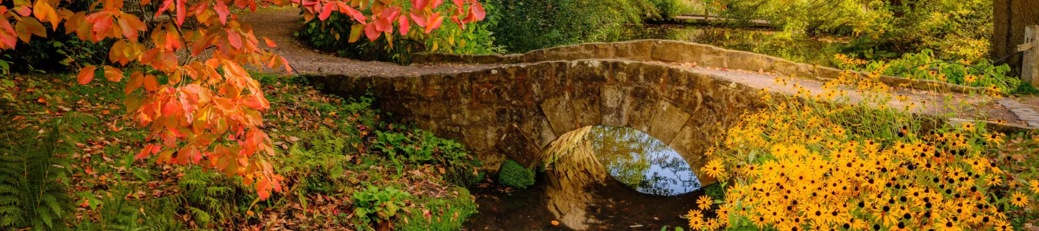 Water Gardens in Autumn, Jim Holden © RBG Kew A stone bridge over a river in an autumnal forest