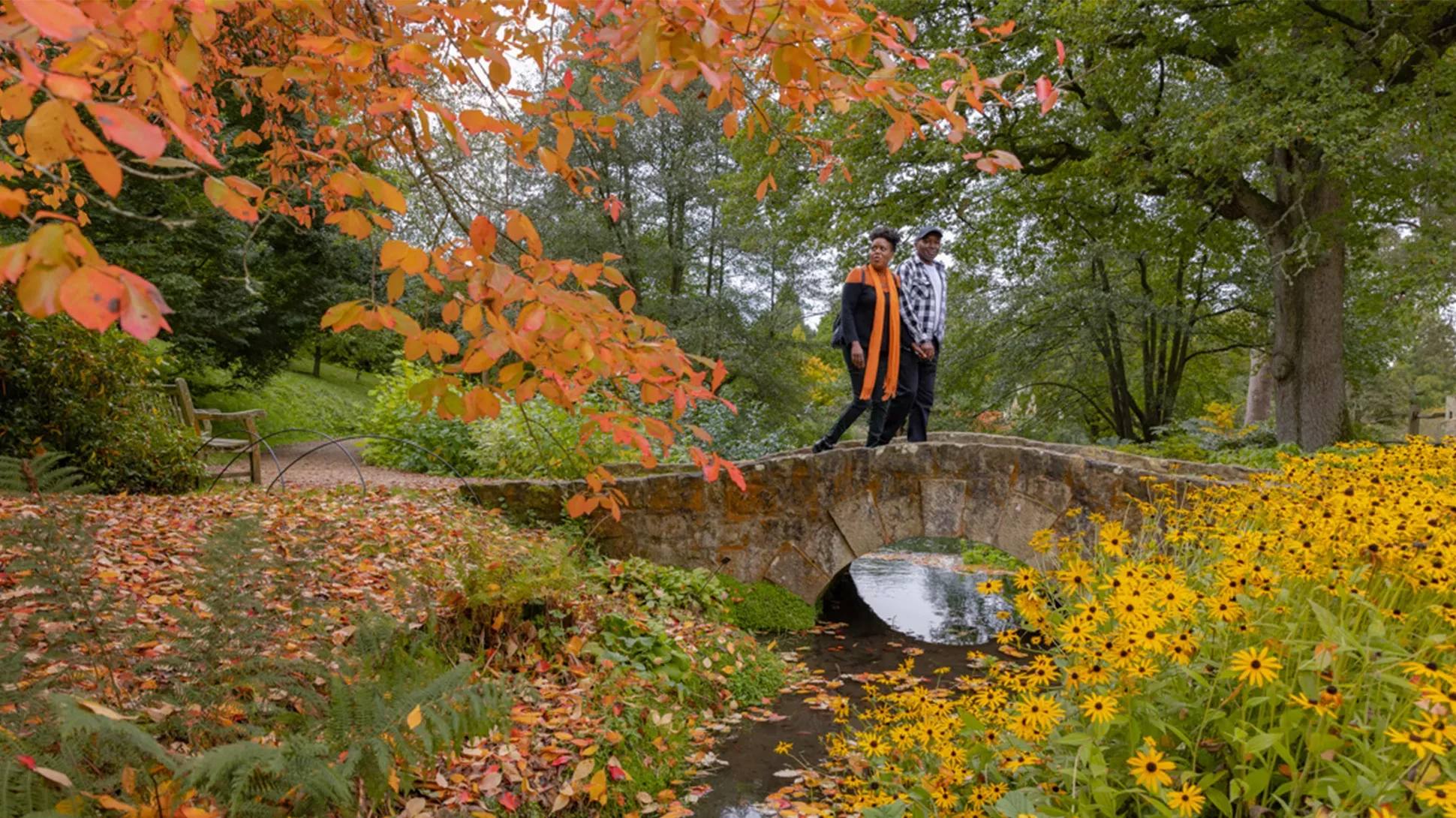 Water Gardens in autumn, James Ratchford © RBG Kew A couple walking across a small bridge over a stream. In the foreground are golden trees.