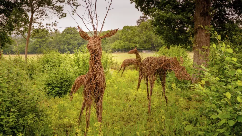 Wild Wood at Wakehurst, Jim Holden © RBG Kew